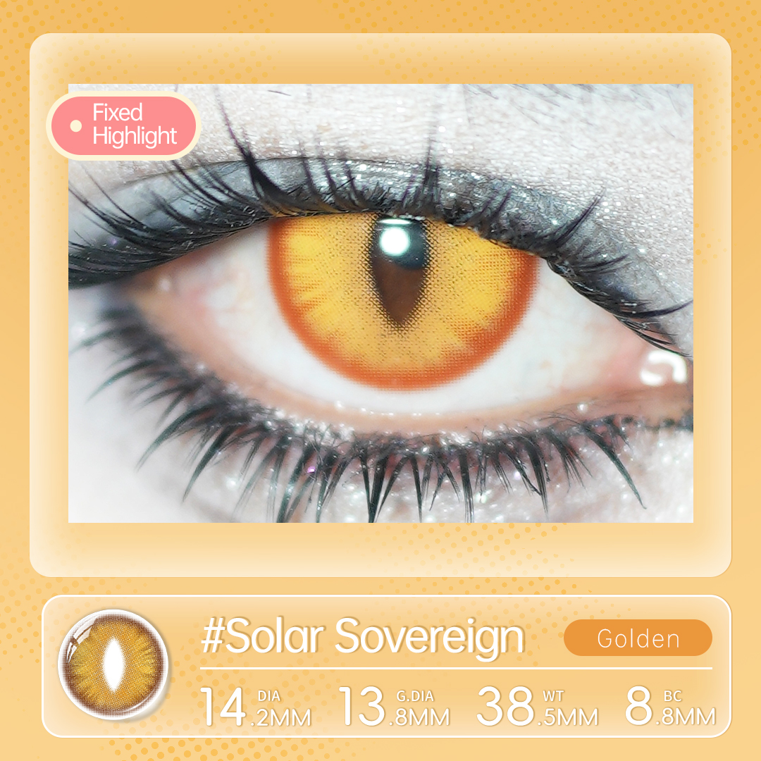 https://images.sigocontacts.com/products/contacts/202605271908595177a30b933.jpg?imageView2/2/w/800/format/webp
