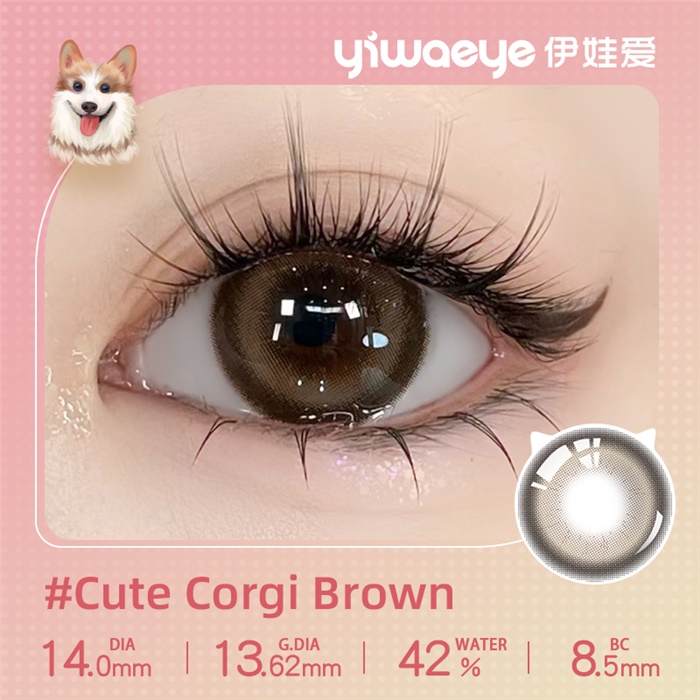 https://images.sigocontacts.com/products/contacts/700-700/202516173831528.jpg